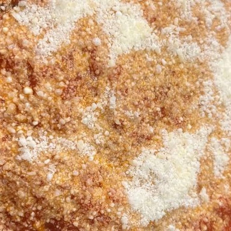 Delicious Spaghetti and Pasta Dishes